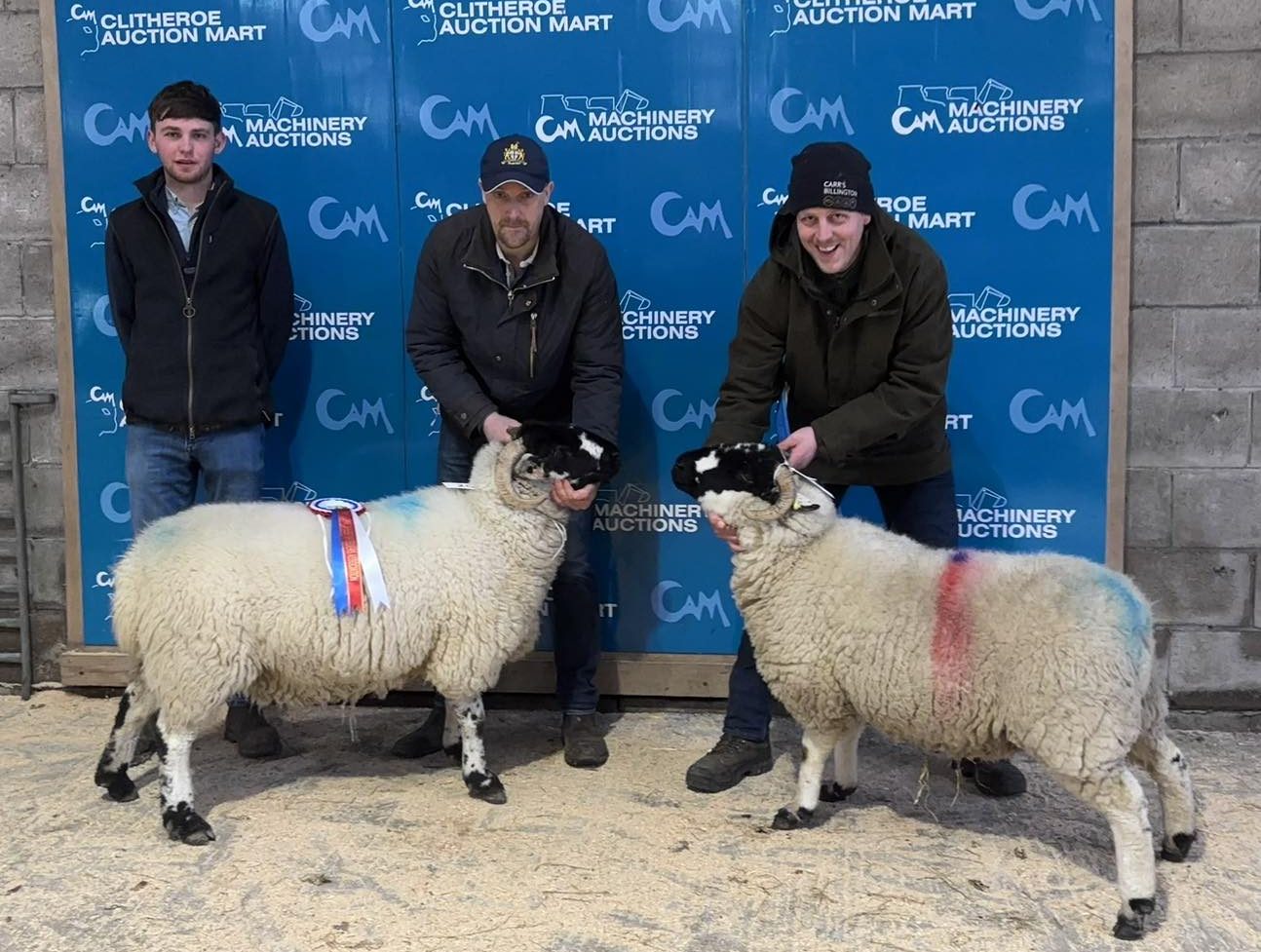 2025 In-Lamb Sale of Lonk Sheep